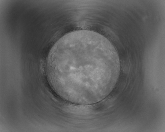 X0000073900036200608251509