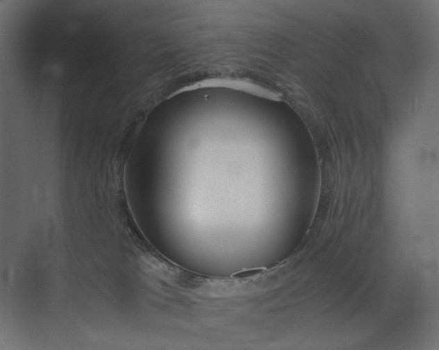 X0000073900037200608251509