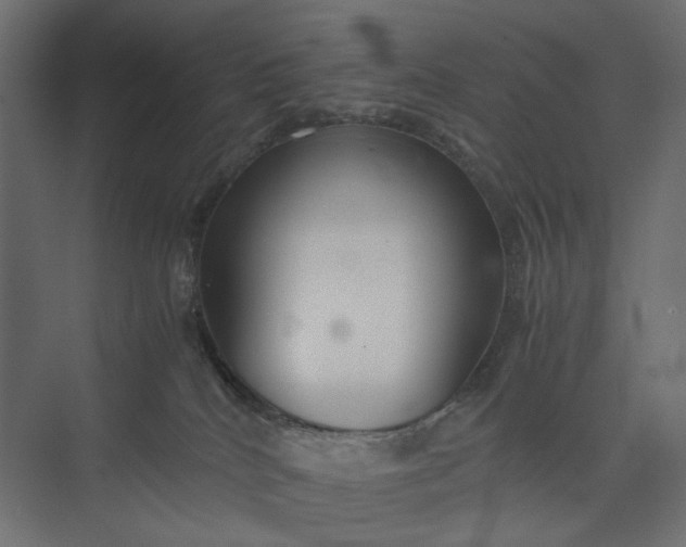 X0000073900040200608251509