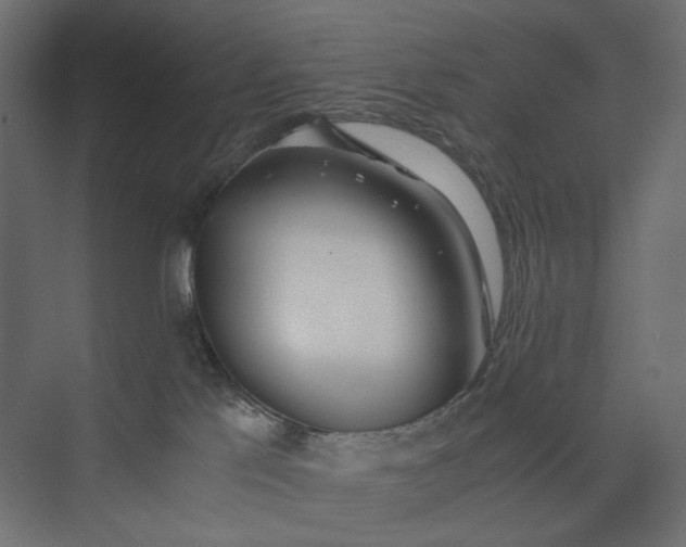 X0000073900041200608251509