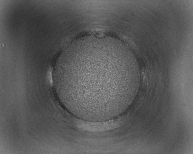 X0000073900042200608251509