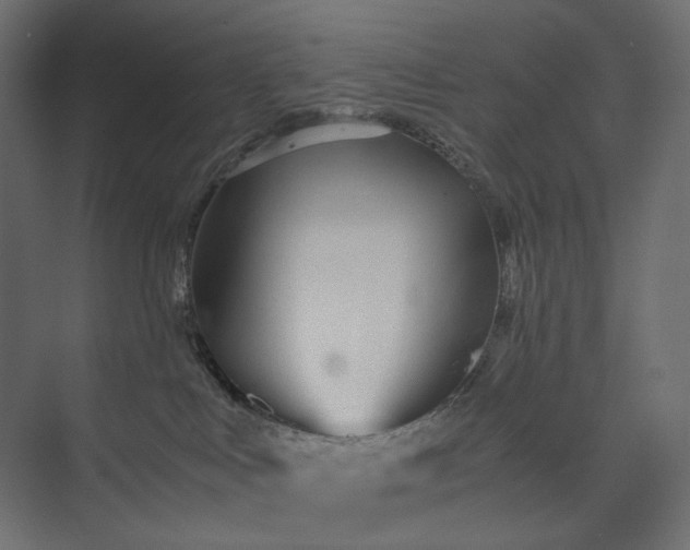 X0000073900043200608251509