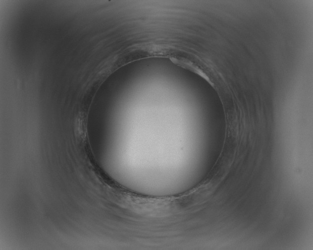 X0000073900044200608251509