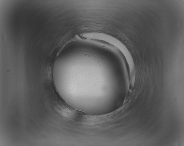 X0000073900045200608251508