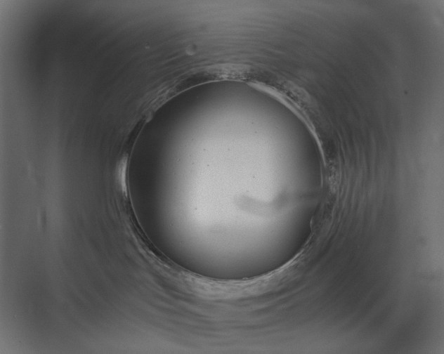 X0000073900047200608251508