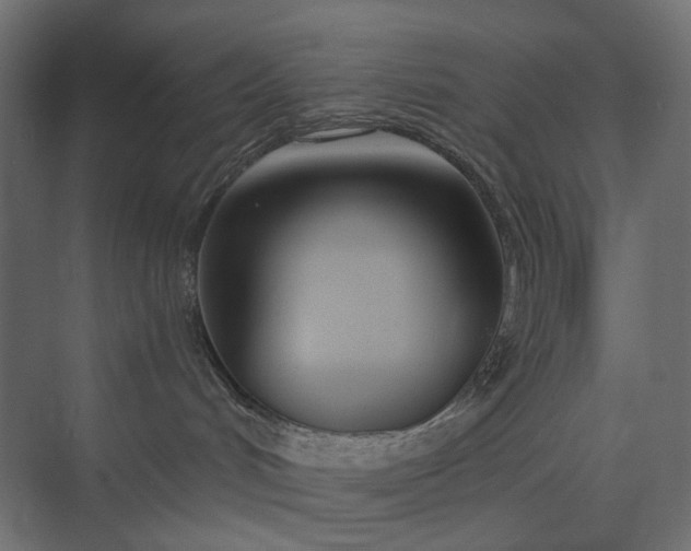 X0000073900048200608251508