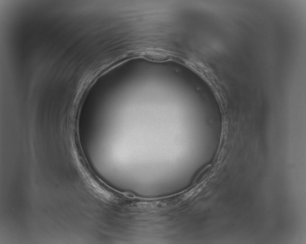 X0000073900049200608251508