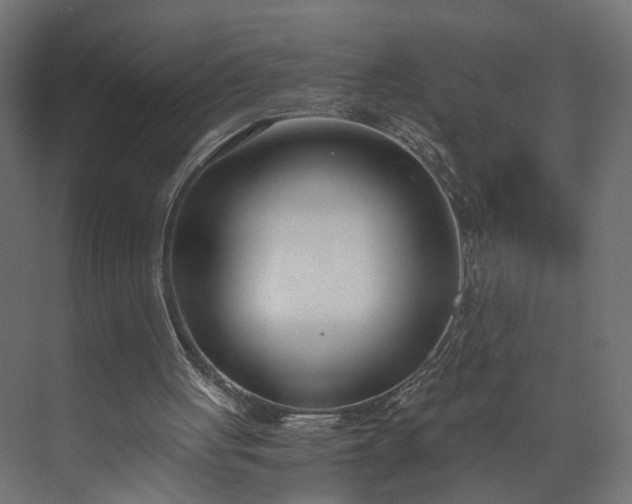 X0000073900051200608251508