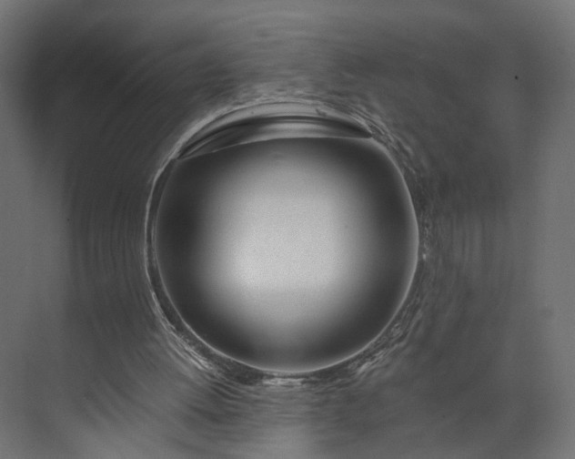 X0000073900052200608251508