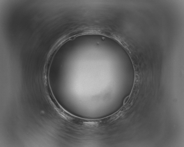 X0000073900053200608251508