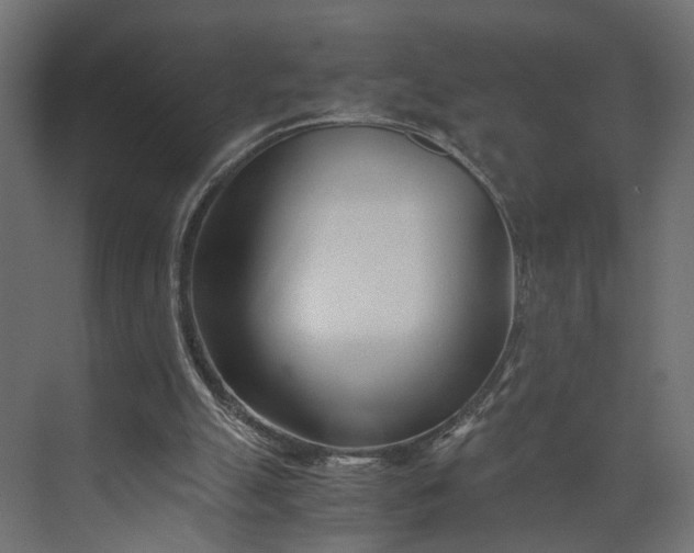 X0000073900055200608251508