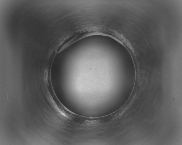 X0000073900057200608251508