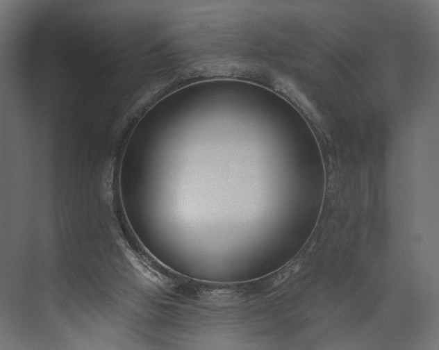 X0000073900058200608251508