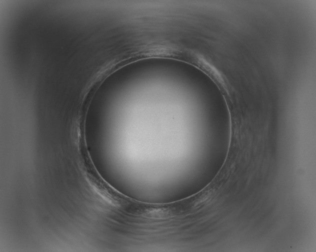 X0000073900059200608251508