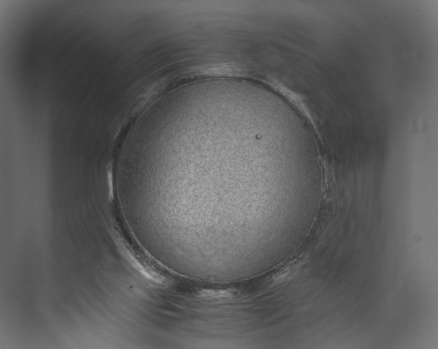 X0000073900061200608251508