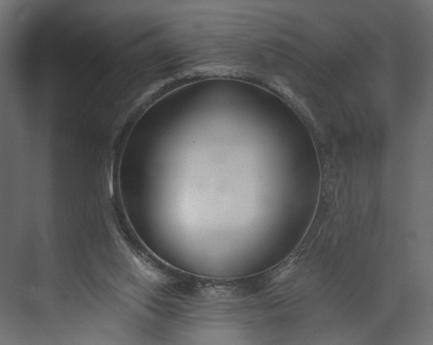 X0000073900062200608251508