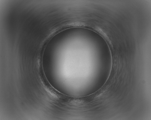 X0000073900063200608251508