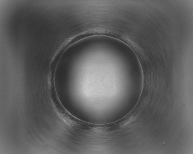 X0000073900064200608251508