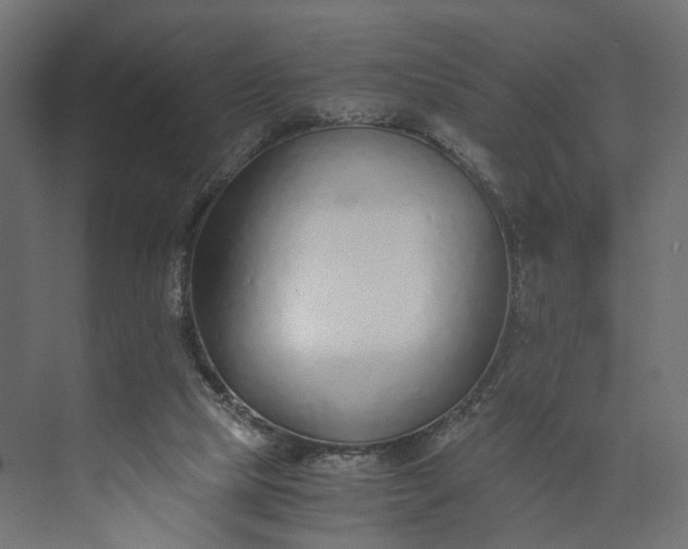 X0000073900065200608251508