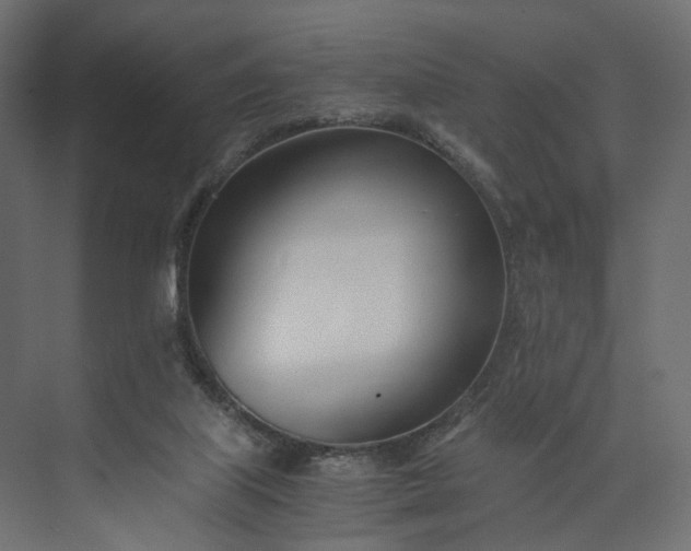 X0000073900067200608251508