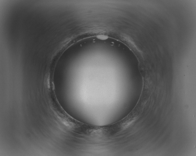 X0000073900068200608251508