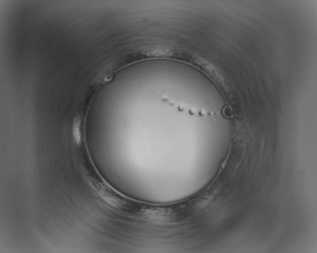 X0000073900069200608251508