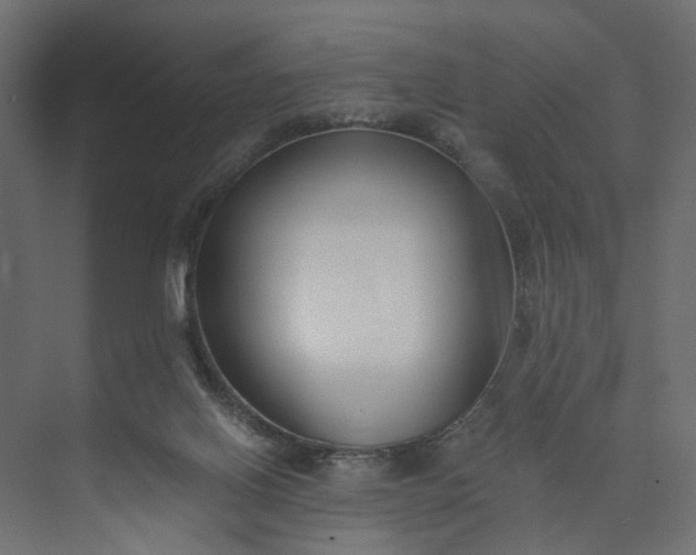 X0000073900070200608251508