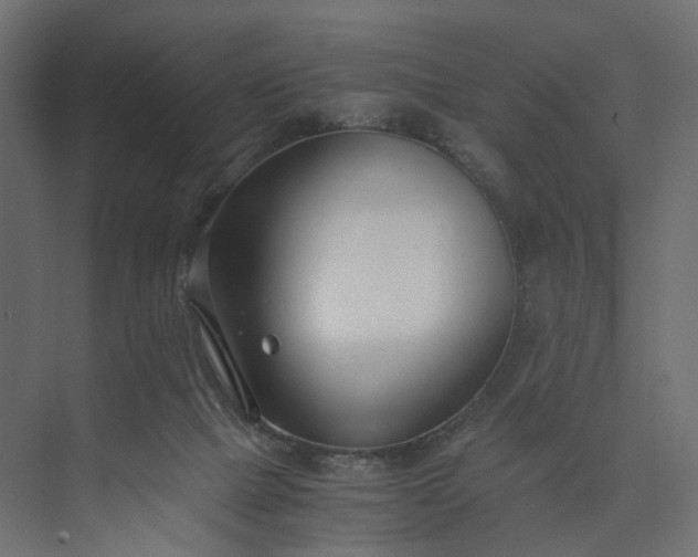 X0000073900073200608251508