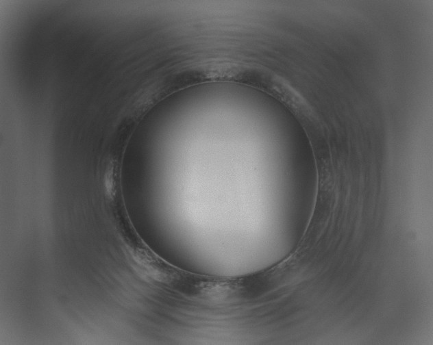 X0000073900074200608251508