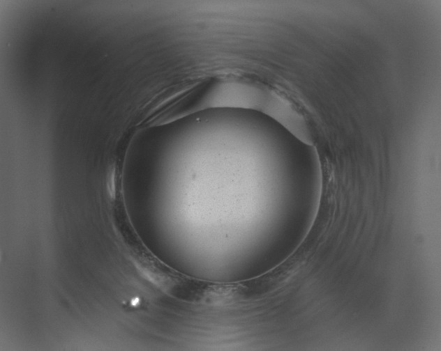 X0000073900076200608251508