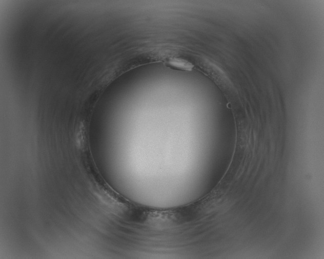 X0000073900077200608251508