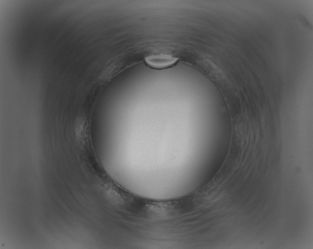 X0000073900079200608251508