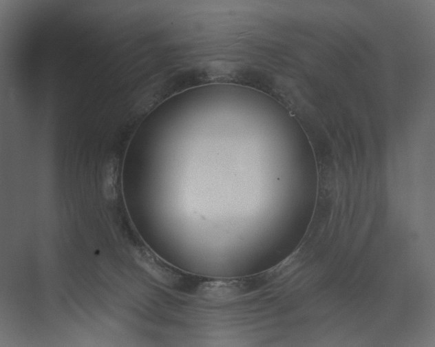 X0000073900082200608251508