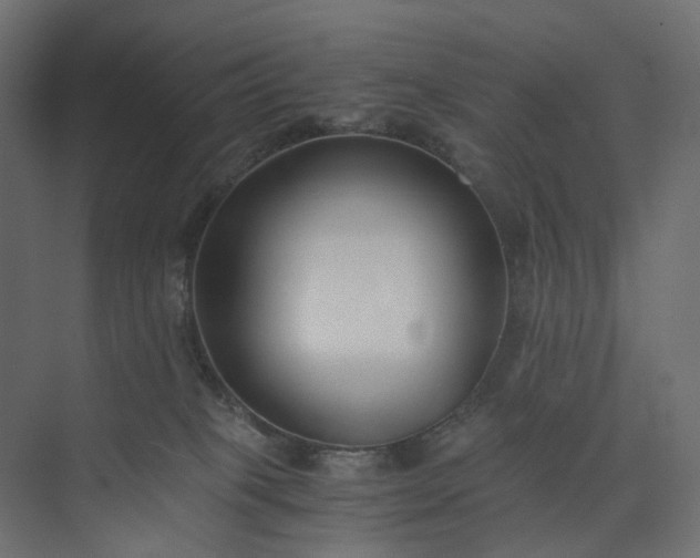 X0000073900085200608251508