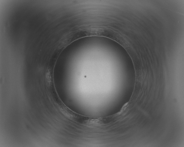 X0000073900086200608251508