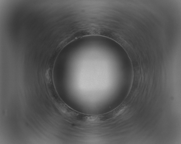 X0000073900088200608251508