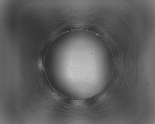 X0000073900089200608251508