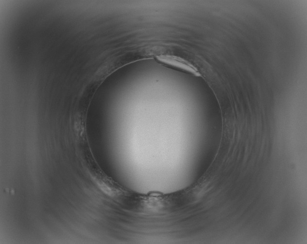 X0000073900091200608251508