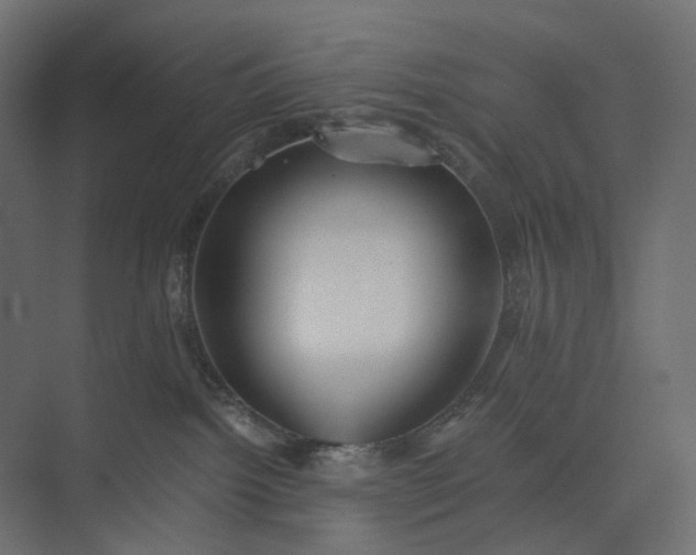 X0000073900092200608251508