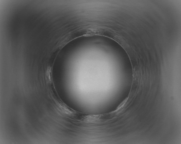 X0000073900094200608251508