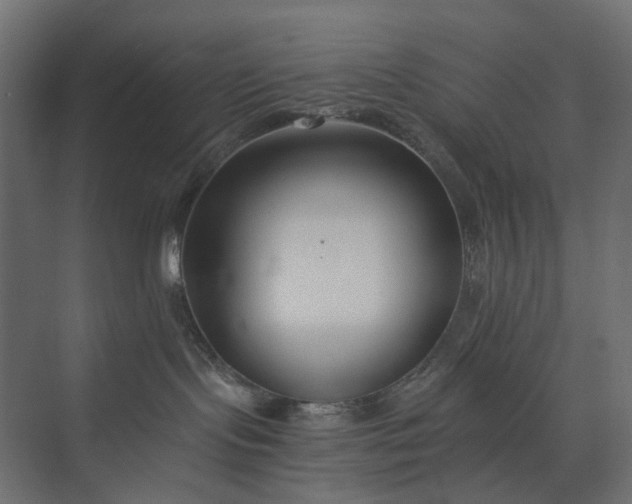 X0000073900095200608251508