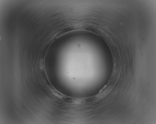 X0000073900096200608251508