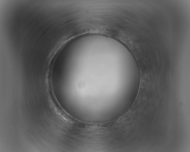 X0000073900098200608251508