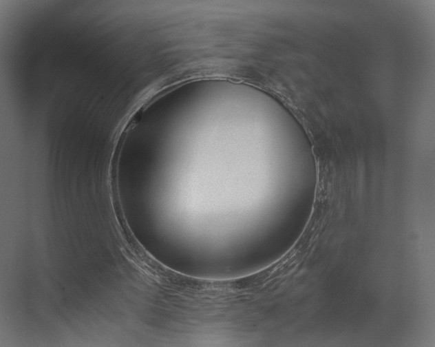 X0000073900099200608251508