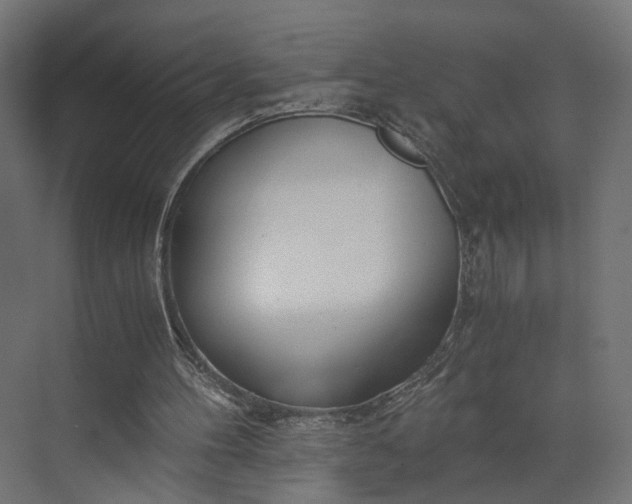 X0000073900100200608251508