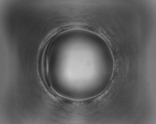 X0000073900101200608251508