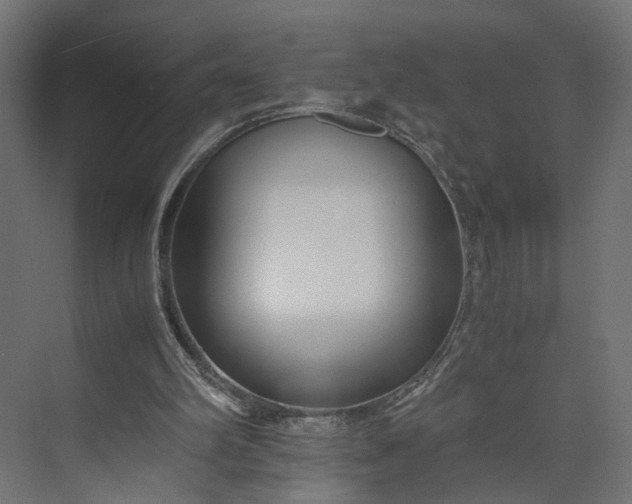 X0000073900102200608251508