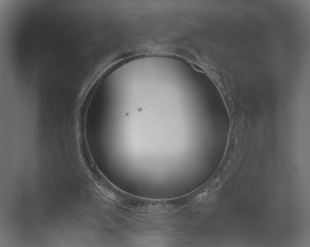 X0000073900103200608251508