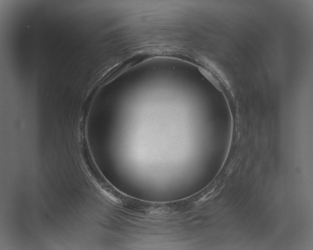 X0000073900105200608251507