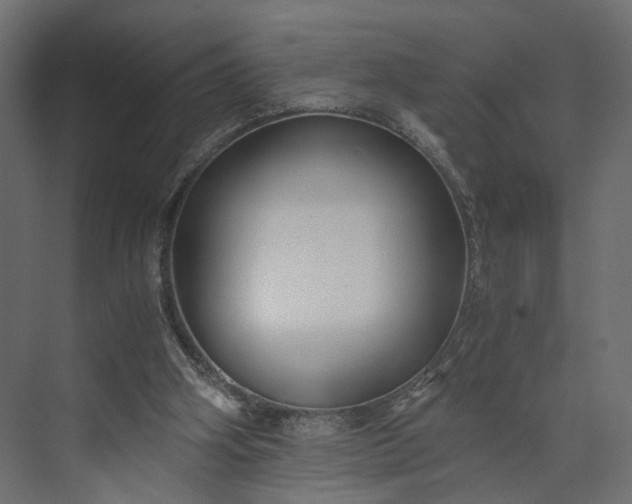 X0000073900106200608251507